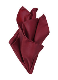 Ascot Einstecktuch 14180900/4