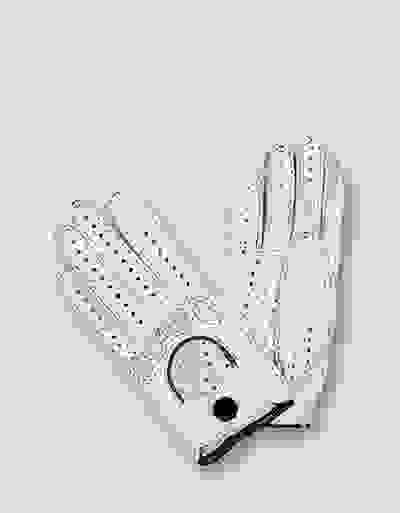 Loader Placeholder