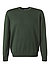 Pullover, Merinowolle waschbar, grün - jägergrün