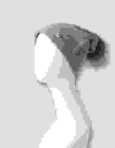 Loader Placeholder