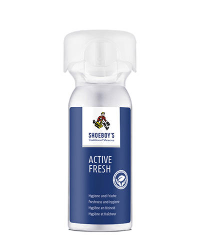 Active Fresh 100 ml (Grundpreis:EUR8.95/100ml)