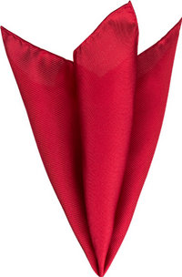 Ascot Einstecktuch 14180903/4