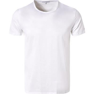 Ermenegildo Zegna Filoscozia T-Shirt N2M200030/100