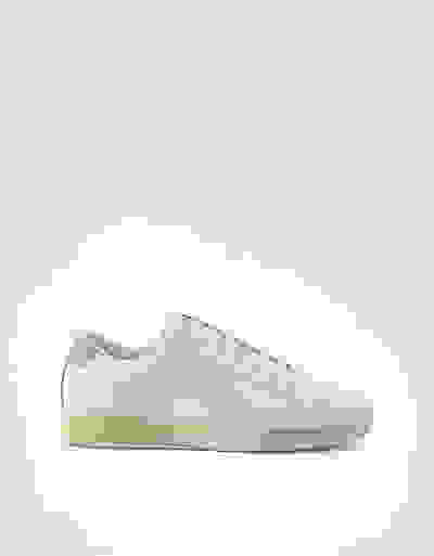 Loader Placeholder