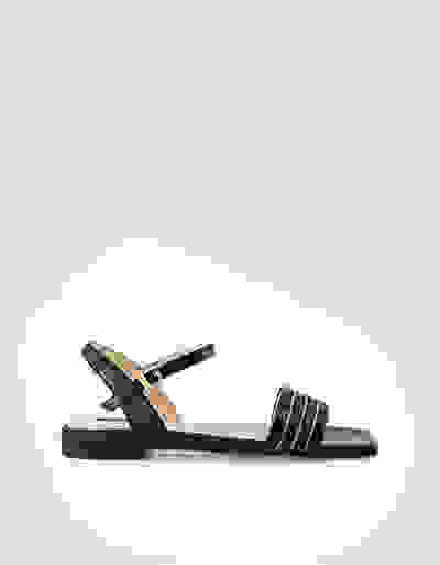 Loader Placeholder