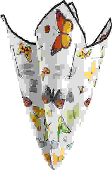 Loader Placeholder