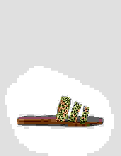 Loader Placeholder