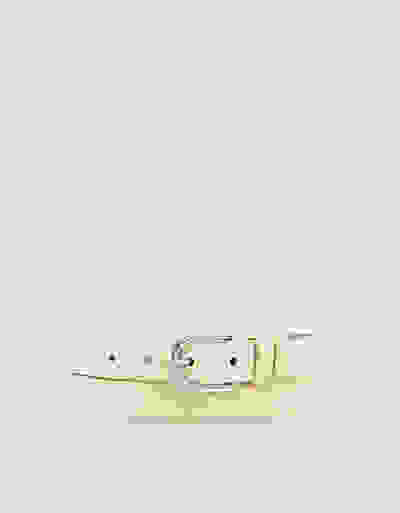 Loader Placeholder