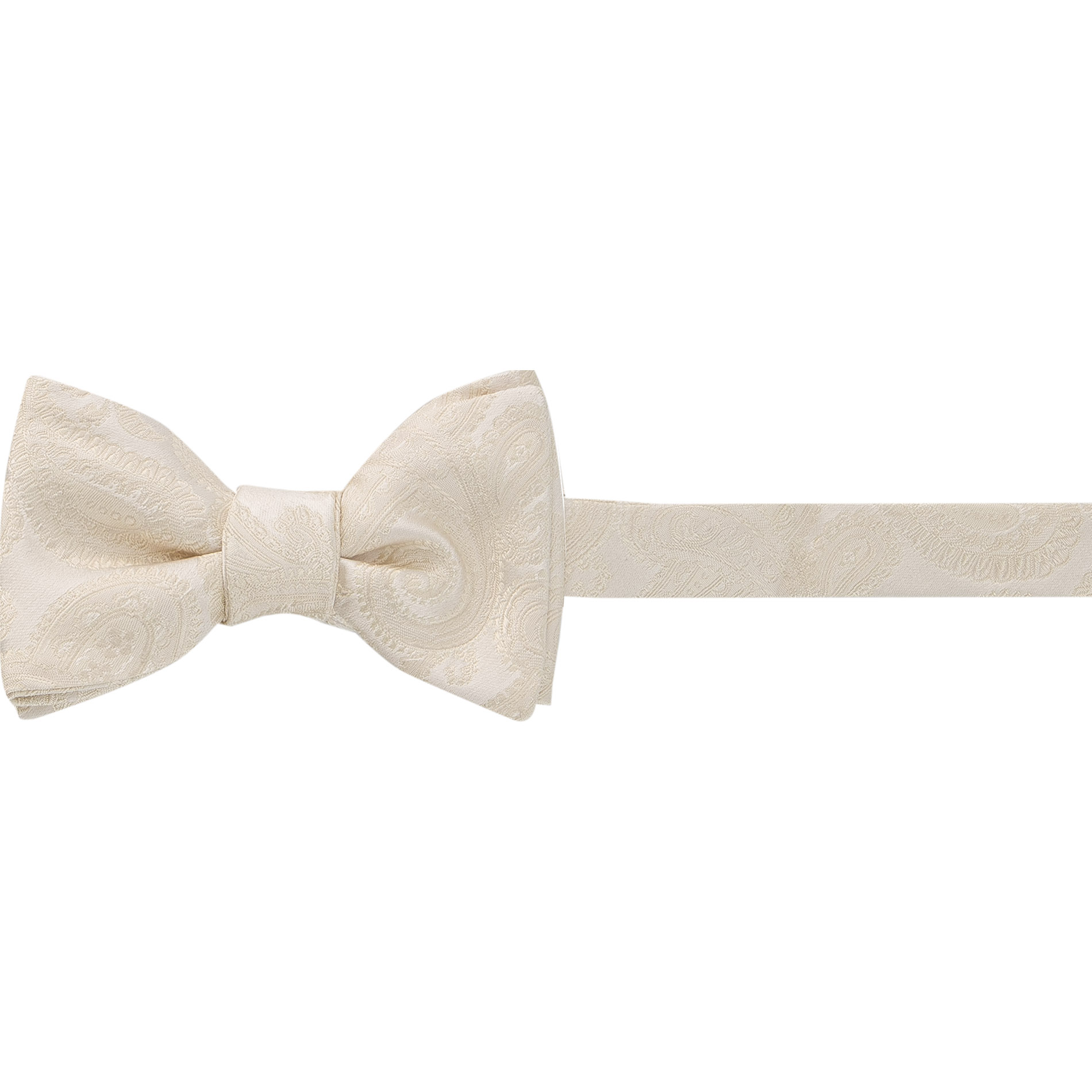 Ascot Herren Schleife beige