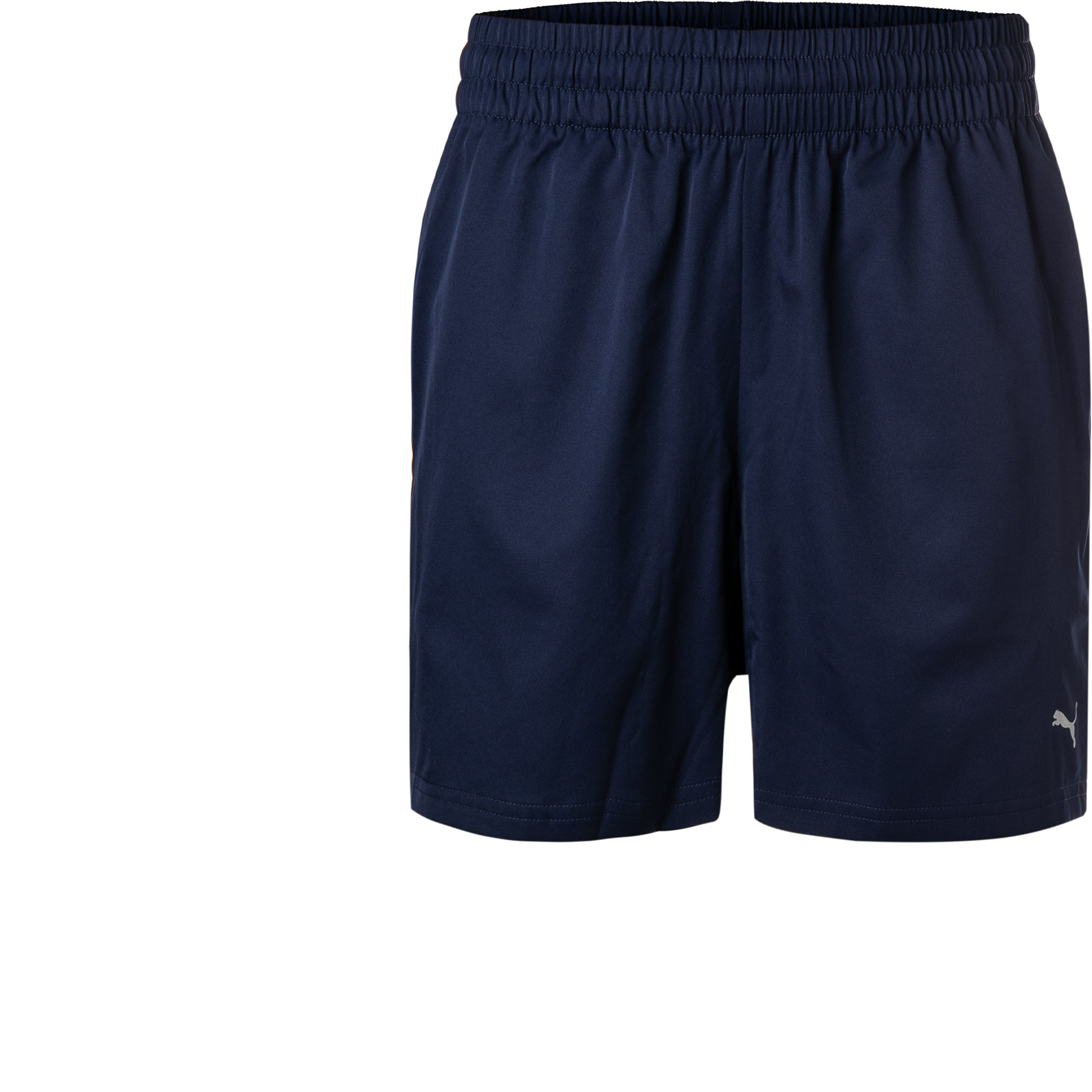 Puma Herren Shorts Blau Mikrofaser/Funktion Unifarben