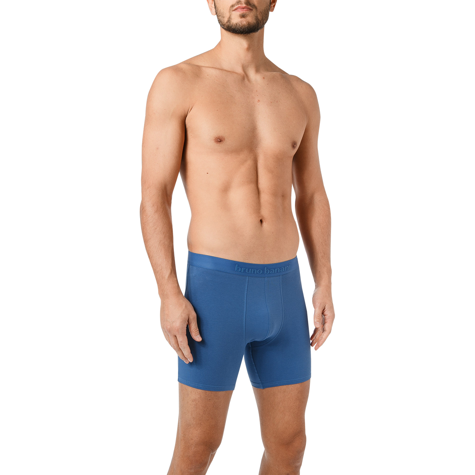 bruno banani Herren Shorts blau Baumwolle & Mix unifarben