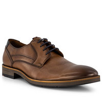 LLOYD HALDAN braun 22-598-11