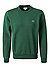 Sweatshirt, Classic Fit, Bio Baumwolle, grün - grün