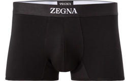 Stylingtipps Beschreibungsbild von Ermenegildo Zegna Trunk N2LC60090/001
