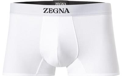 Ermenegildo Zegna Trunk N2LC60090/100