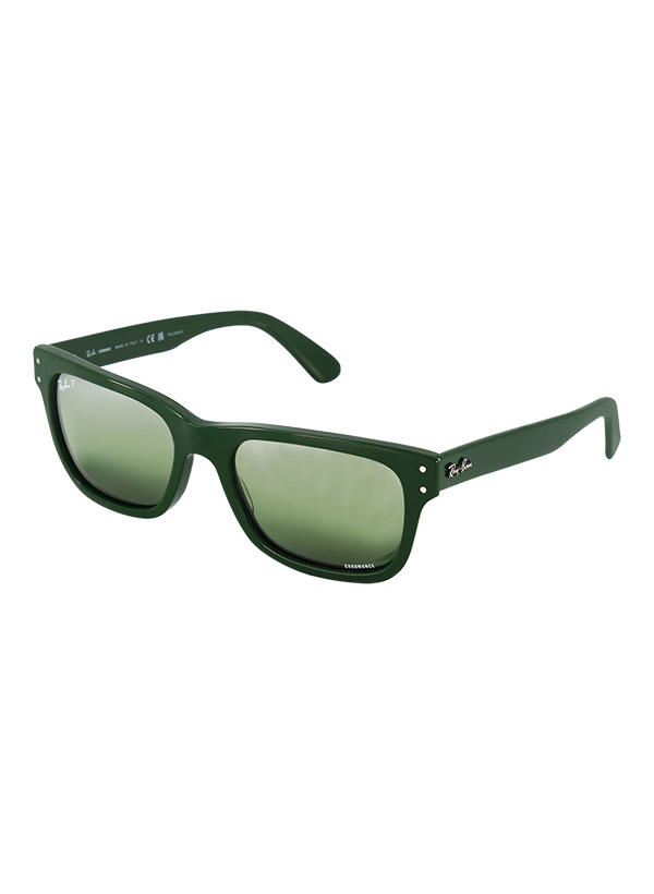 Ray Ban Sonnenbrille Mr Burbank 0RB2283/6659G4 Image 0