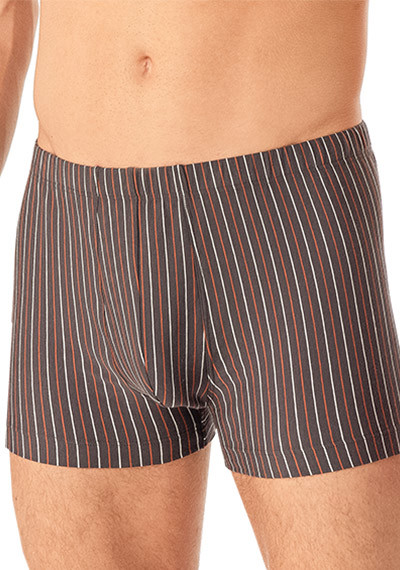 Schiesser Shorts 180499/604