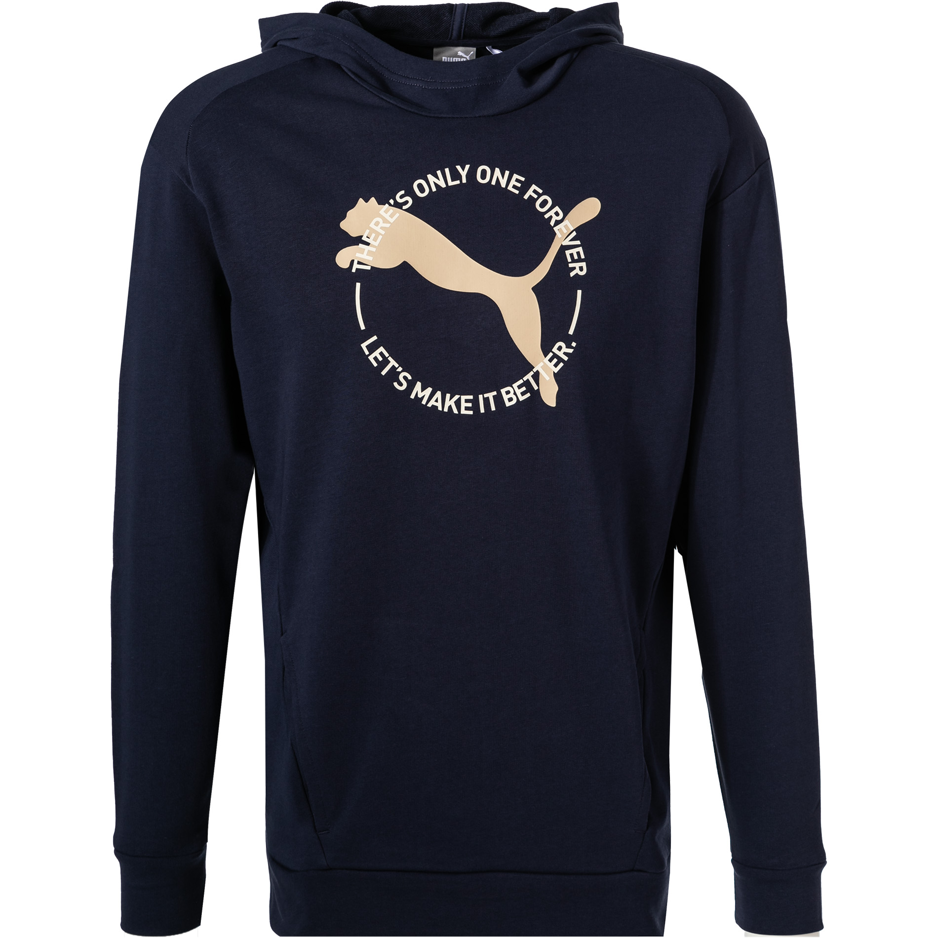 PUMA Herren Hoodie blau Baumwolle & Mix uni mit Motiv