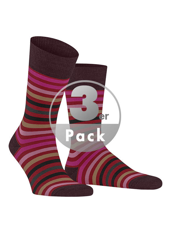 Falke Tinted Stripe 3er Pack 13279/8077