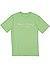T-Shirt, Regular Fit, Bio Baumwolle, hellgrün - hellgrün