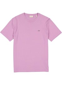 Gant T-Shirt 2003184/527