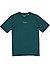 T-Shirt, Regular Fit, Bio Baumwolle, petrol - petrol