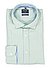 Hemd, Regular Fit, Baumwolle, grün - grün
