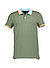 Polo-Shirt Timothy, Baumwoll-Piquè, grün - grün
