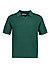 Polo-Shirt, Baumwoll-Strick, pinie - pineneedle