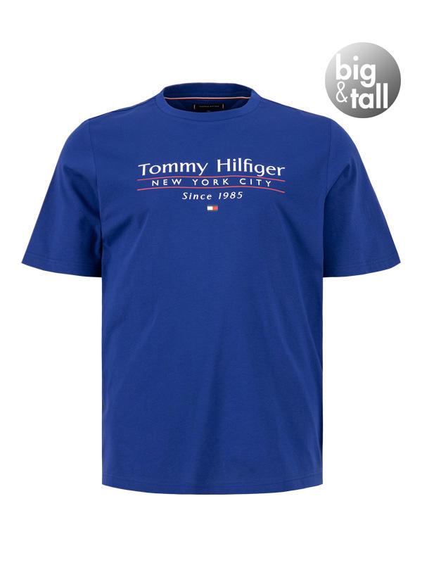 Tommy Hilfiger T-Shirt MW0MW39919/D03 Image 0