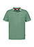 Polo-Shirt Ambrosian, Bio Baumwoll-Piquè, grün - grün
