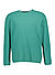 Pullover, Bio Baumwolle, grün - grün