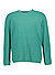 Pullover, Bio Baumwolle, grün - grün