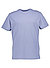 T-Shirt, Classic Fit, Baumwoll-Jarsey, blau gestreift - blau