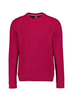 Stylingtipps Beschreibungsbild von Brax Pullover 21-2007/ROY 701 293 00/85