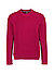 Pullover Roy, Baumwolle-Wolle, vitamins - vitamins