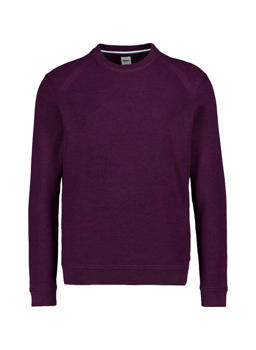 Stylingtipps Beschreibungsbild von Brax Pullover 21-2007/ROY 701 293 00/88