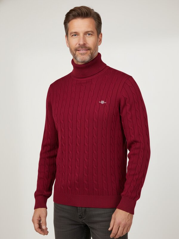 Gant Rollkragenpullover 8050607/604 Image 1