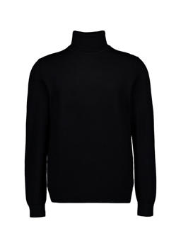 Stylingtipps Beschreibungsbild von Fynch-Hatton Rollkragenpullover 1509 716/999
