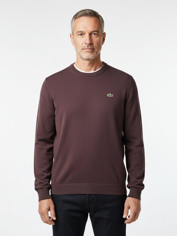 LACOSTE Pullover AH0128/SKB Image 1