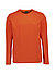 Longsleeve Tempesto, Baumwolle, orange - orange
