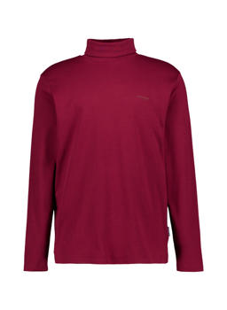 Stylingtipps Beschreibungsbild von HECHTER PARIS Rollkragenpullover 75001/152905/380