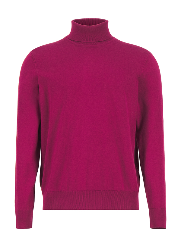 HECHTER PARIS Rollkragenpullover 65001/152801/380