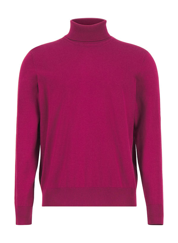 HECHTER PARIS Rollkragenpullover 65001/152801/380 Image 0