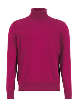 Stylingtipps Beschreibungsbild von HECHTER PARIS Rollkragenpullover 65001/152801/380