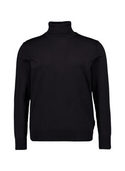 Stylingtipps Beschreibungsbild von HECHTER PARIS Rollkragenpullover 65001/152801/990