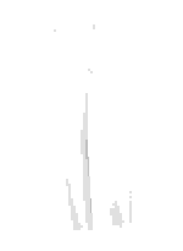 Loader Placeholder