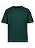 T-Shirt, Baumwolle, dunkelgrün - dunkelgrün