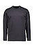 Longsleeve, Regular Fit, Baumwolle, schwarz - schwarz