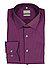 Hemd, Comfort Fit, Baumwoll-Stretch Climate Control, aubergine - aubergine